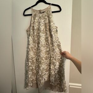 Adrianna Papell dress. Size 10